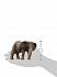 Фигурка - Африканский слон, самка  - миниатюра №1